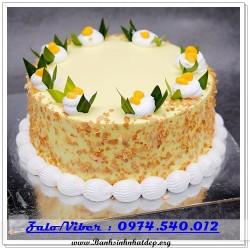 Mẫu Bánh Sinh Nhật Đẹp - A1034